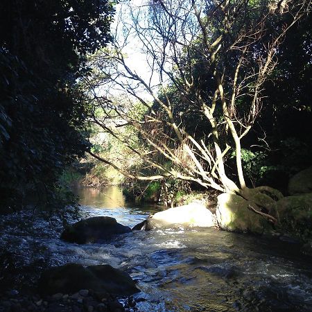 Punehu Stream Cottage Opunake Exterior foto